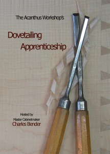 Dovetailing apprenticeship cover copy